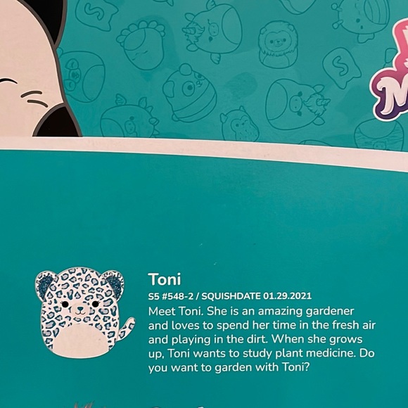 NWOT 5” Toni the Cheetah Squishmallow from Box Set - Picture 3 of 3